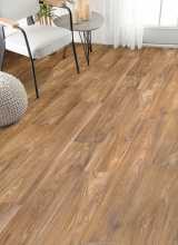 [PVC EVOLUTION Wagner 2]