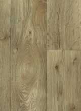 [PVC Polaris CAMEO 616M]