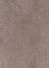 [Metrážový koberec TEXAS 92]