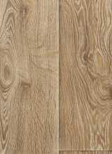 [PVC EVOLUTION Raymond 2]