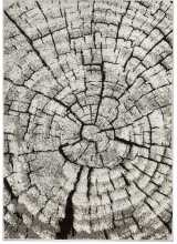 [Kusový koberec PHOENIX 6021-0244]