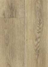 [PVC REWARD Leonardo 1]