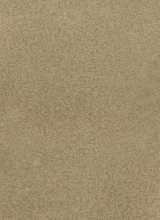 [PVC podlaha TOPLINE - ST3 světle hnědá]