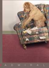 [Metrážový koberec ADMIRAL]