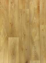 [PVC Rumba - Fiesta LATINA 0006]