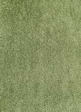 [Metrážový koberec AVELINO 23]