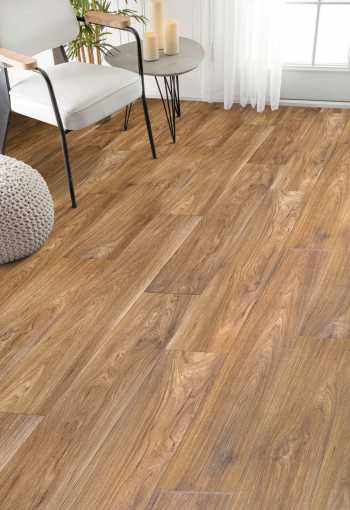 PVC EVOLUTION Wagner 2