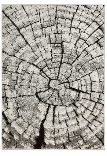 Kusový koberec PHOENIX 6021-0244