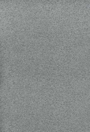 PVC podlaha TOPLINE - ST6 šedá