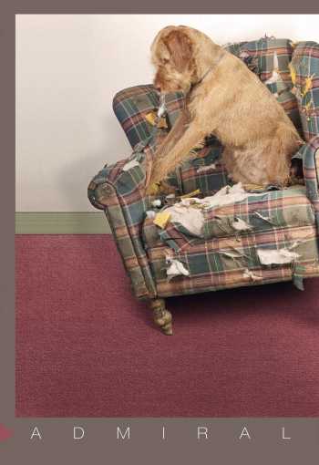 Metrážový koberec ADMIRAL