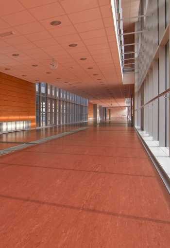 PVC Polyflor ULTRA XL PU 3850 tl. 2,0mm 