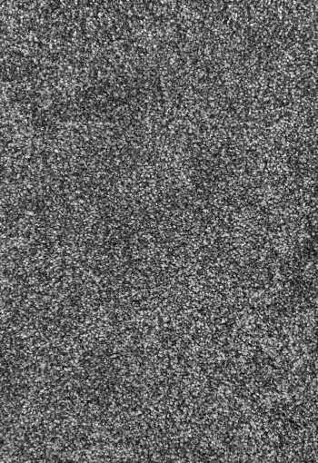 Metrážový koberec Dalesman 77