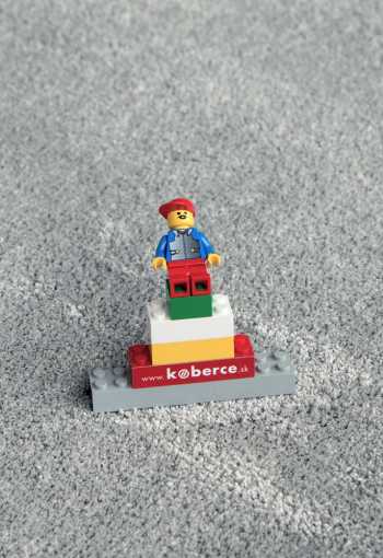 [koberec-labrador-71351-60-3.jpg]