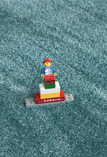 [koberec-labrador-71351-99-3.jpg]