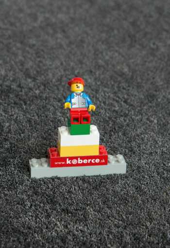 [koberec-labrador-71351-100-3.jpg]