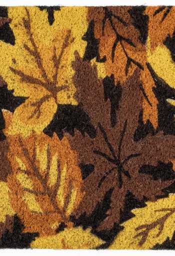 [kokosova-rohoz-listy-1.jpg]