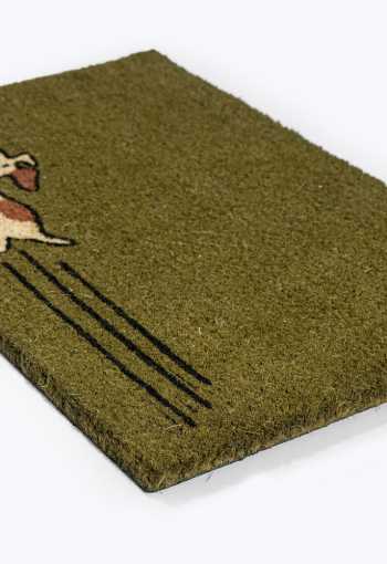 [kokosova-rohoz-zeleny-pes-2.jpg]