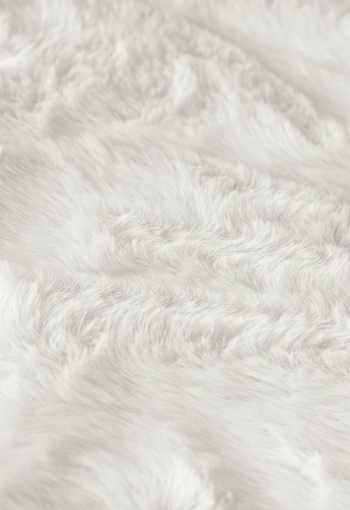 [koberec-rabbit-new-ivory-2.jpg]