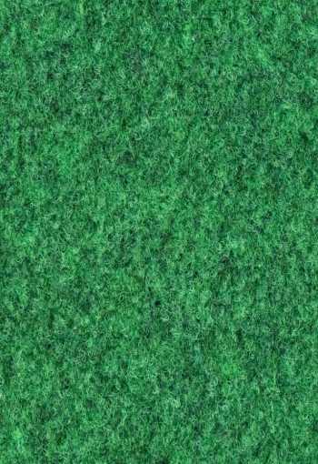 [grass-41-nop-04.jpg]