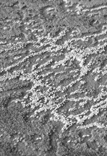 [koberec-elite-4355-grey-2.jpg]