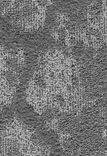 [marble-fusion_zev5_096_769.jpg]