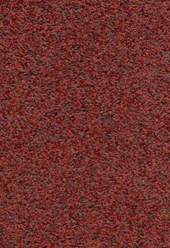 [e-force_zbn2_011_4.jpg]