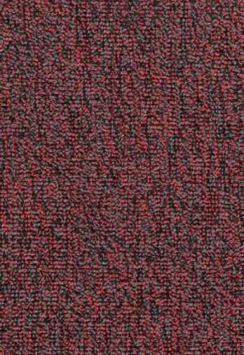 [e-major_zz13_012.jpg]