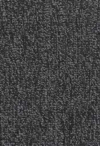 [e-major_zz13_098.jpg]