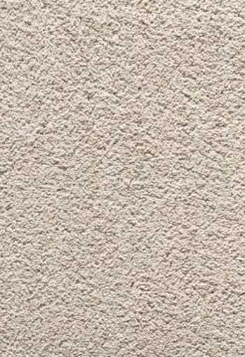 [in-tense_zes8_049.jpg]