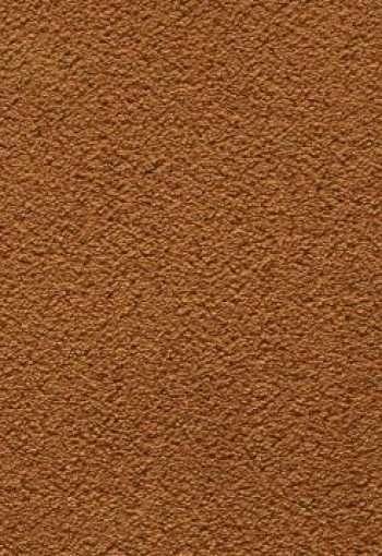 [in-tense_zes8_055.jpg]