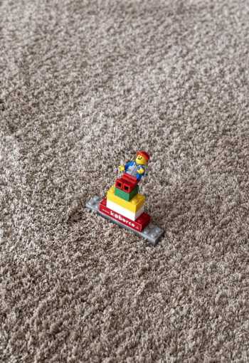 [kusovy-koberec-dolce-vita-eee-2.jpg]