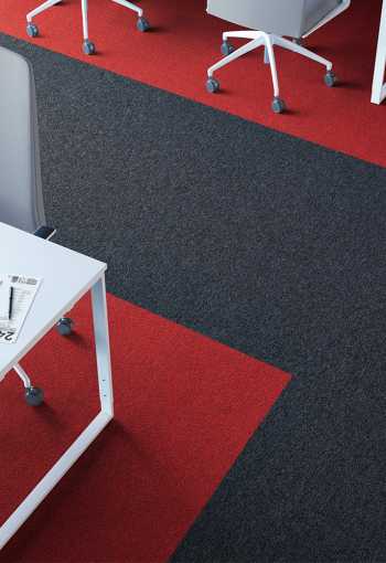 [firstforwardint2.jpg]