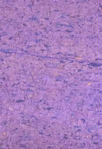 [podlozka-pod-koberec-floorwise-lift-3.jpg]