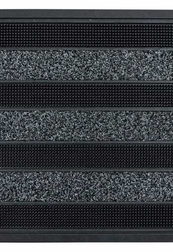 [rohoz-mdentree-cactus-1.jpg]