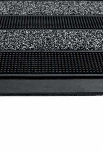 [rohoz-mdentree-cactus-5.jpg]