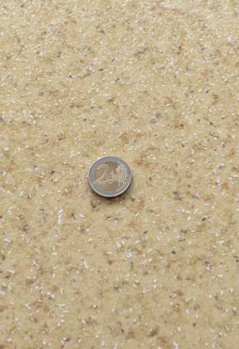 [pvc-magnum-121608-1.jpg]