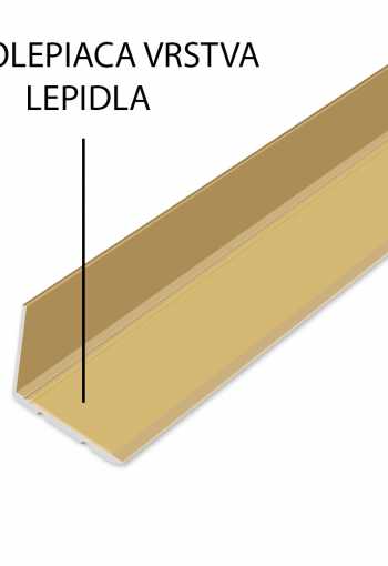 [schodova-hrana-24-5x20mm-zlata-1.jpg]