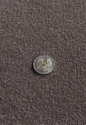 [metrazny-kobrec-sentiment-44-2.jpg]