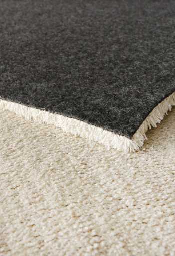 [behun-labrador-71351-056-4.jpg]