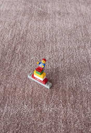 [koberec-labrador-71351-022-2.jpg]