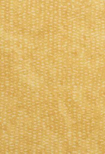 [pvc-xtreme-roxanne-220m-1.jpg]