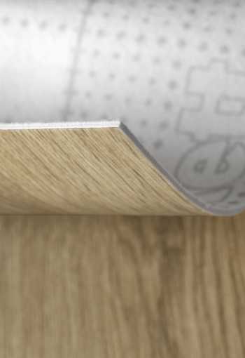 [pvc-reward-leonardo-1-3.jpg]