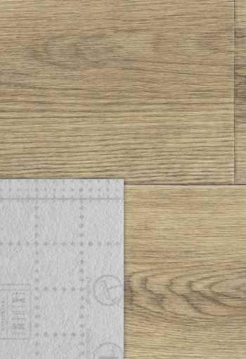 [pvc-reward-leonardo-1-4.jpg]