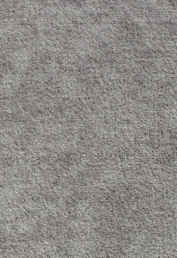 [serenade-915-1.jpg]