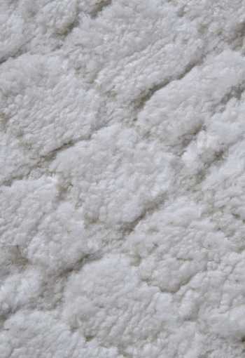 [106098_l_zoom1.jpg]