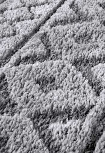 [106093_l_zoom1.jpg]