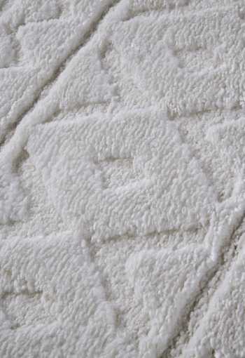 [106095_l_zoom1.jpg]