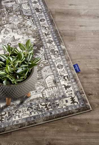 [106124_det3_behun.jpg]