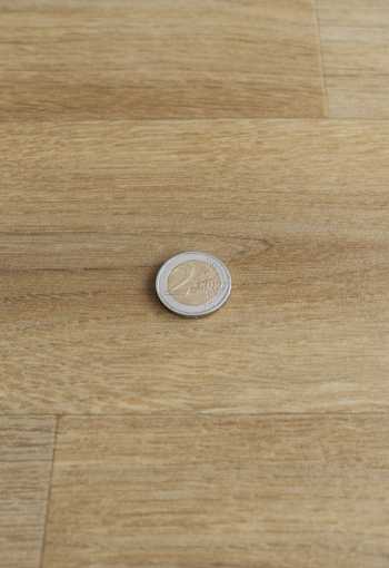 [pvc-renotex-rhapsody-543-2.jpg]