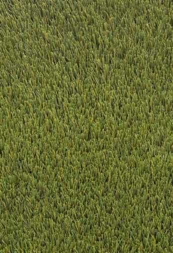 [umely-travnik-panorama-1.jpg]